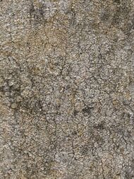 ���� ��������� �� ��������� Marburg Natural Opulence 33203 (0,7�10,05) ����������, ����� (���.)