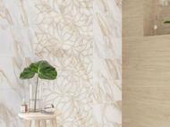 ������ ��������� Eletto Calacatta Oro Struttura (242�700) ������� (��.�.)