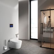 ������ ��������� AM.PM Func FlashClean 540�380 � ����������� �������-����, ����� C8F1702SC