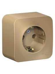 Розетка Systeme Electric BLANCA наружная с заземл. без шторок изол.пл., 16А, 250В, титан BLNRA010114