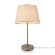 ���������� ���������� Freya Butler (������) FR2057TL-01BG, 220/240 V, IP 20, �������