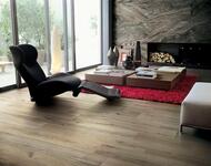 ��������������� ������ Rex Prexious of Rex Dream Arabesque (600�1200�10) 755846 (��.�.)
