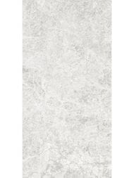 ��������������� ������ Delacora ������ (300x600) D30010M (��.�)