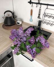 ��������� ��� ����� Omoikiri Tonami-BL Tetogranit  ������ (4994058)