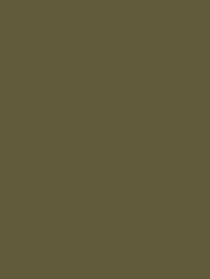 Обои флизелиновые Hygge Hg7 012 (1,00х10,05) зеленые (рул.)