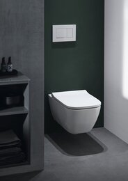 ������ ��������� Geberit Smyle Square (350�540�330) ������������, � ��������-��������� 500.685.01.1
