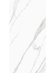 ��������������� ������ Delacora ���� (600x1200) D120239M (��.�)