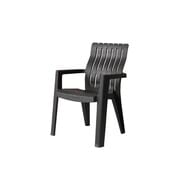 ���� B:RATTAN CHICAGO (62x63x90) ��������