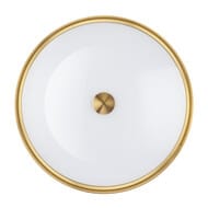 ���������� ���������� Odeon Light 4824/4C, ������