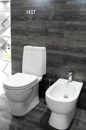 ������ ������� Sanita Luxe FEST Comfort (344x618x800) ������� �� ����������, ��������� WC.CC/Fest/2-DM/WHT.G/S1