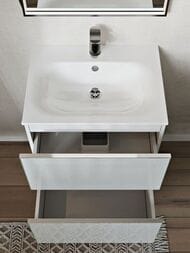 ����� � ��������� Terminus Vega 600�450�620 ���������, 2 �����, ����:�����