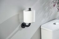 Держатель запасного рулона туалетной бумаги Aquatek Оберон AQ4207MB подвесной, цвет: черный матовый