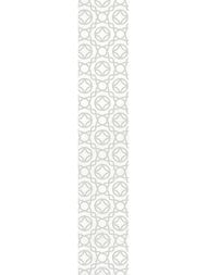 ������ Gracia Ceramica Constance grey light border 01 (57�300) ������-����� (��.)