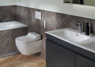 ������-���� GEBERIT AquaClean TumaComfort ���������, ������ ����� ������ 146.294.SI.1