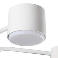������ �� ������ Lumion Rondo 8231/6C, �����