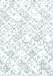 ���� �������� Thibaut Paramount (0,52�10,06) ������� T2993 (�����)