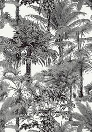 ���� �������� Thibaut Tropics (0,69�8,22) ������ T10102 (�����)