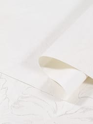 ���� ������� �������� OVK Design ������-��� (1,06�25) ����������, ������� 10865-01 (�����)