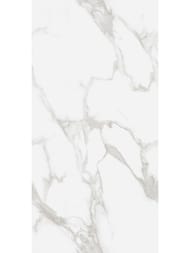 ��������������� ������ Ceradim Statuario Perfect Silver (600�1200) ����� 9999304508  (��.�.)
