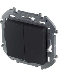 Выключатель LEGRAND INSPIRIA  2-клавишный 10 AX 250 В антрацит 673623
