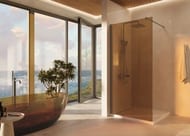������� ����������� Vincea Walk in 900x2000 VSW-1H900GSGM   ��������� �����