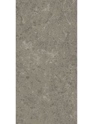 Керамогранитная плитка Atlas Concorde Marvel Meraviglia Grigio Elegante Lapp (600х1200) AJHW (кв.м)