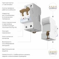 Дифференциальный автомат 1P+N 32 A 30 mА 6 kА C А Werkel W922P326