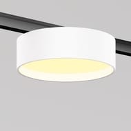 �������� ���������� Maytoni Zon (���) TR189-1-12W2.7K-BW Levity 2700� 12�� 100�, IP20, ������
