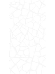 ������ ��������� AltaCera ������� (249x500) WT9SML00 (��.�)