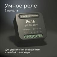 Умное двухканальное реле Elektrostandard a059326, черный