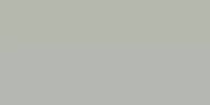 ��������������� ������ Staroslim Reed Green Matt 5�� (600�1200�5) ���������, ������� (��.�.)
