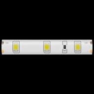 ������������ ����� Maytoni Led Strip 12� 2835 4,8��/� 3000K 5� IP65, �����, 10105