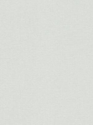 ���� ��������� �� ��������� Rasch Salsa (0,53�10,05) ������-������� 448603 (���.)