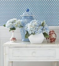 ���� �������� Thibaut Dynasty (0,69�8,22) ������� T75449 (�����)