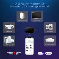 Умный инфракрасный пульт ДУ Elektrostandard a061040, черный