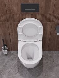 ������ Cezares RELAX CZR-38088-49-TH-TOR/SC (365�490�310) ���������, ������������, � ��������, �����