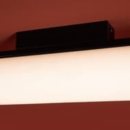 Потолочный светильник Freya Even (Эвен) FR5625CL-L20B, 80 Ra, 220/240 V, IP20,черный