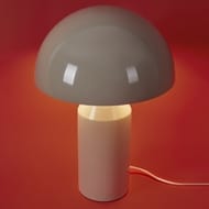 ���������� ���������� Freya Eleon (�����) FR5218TL-02CR, IP 20, ��������
