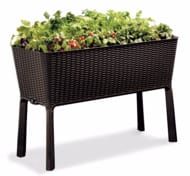 ����� KETER EASY GROW (114x49,3x75,5) �� ������, ����������