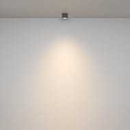 ���������� ���������� Maytoni Rendo (�����) C095CL-GX53-GR, 12��, IP44, GX53, �����