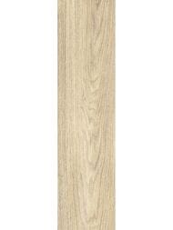 ��������������� ������ New Trend ����� (151x602) GP1560ASP21 (��.�)