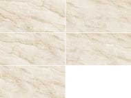 ��������������� ������ Staroslim Modern Essenza Polished (600�1200�7) �������� (��.�.)