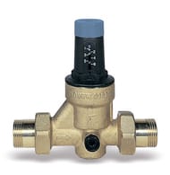 �������� �������� Watts DRVN 2" ��  10015775