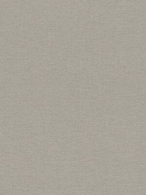 ���� ��������� �� ��������� Rasch Salsa (0,53�10,05) ����� 452037 (���.)