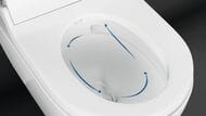 ������-���� GEBERIT AquaClean TumaComfort ���������, ������ ����� ������ 146.294.SI.1