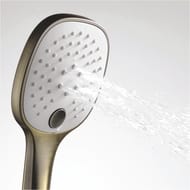 Лейка 3-функциональная WasserKRAFT A050 светлая бронза