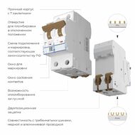 Автоматический выключатель 2P 16 A C 6 кА Werkel W902P166
