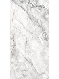 ��������������� ������ Delacora �������� (300x600) D30013M (��.�)