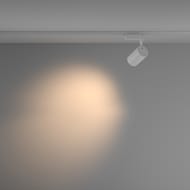 �������� ���������� Maytoni Vuoro (�����) TR003-1-26W3K-M-W Unity 3000K 26�� 36�, IP20, �����