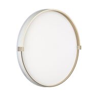 Настенно-потолочный светильник Sonex Pale Olidi White 7646/ELN, белый